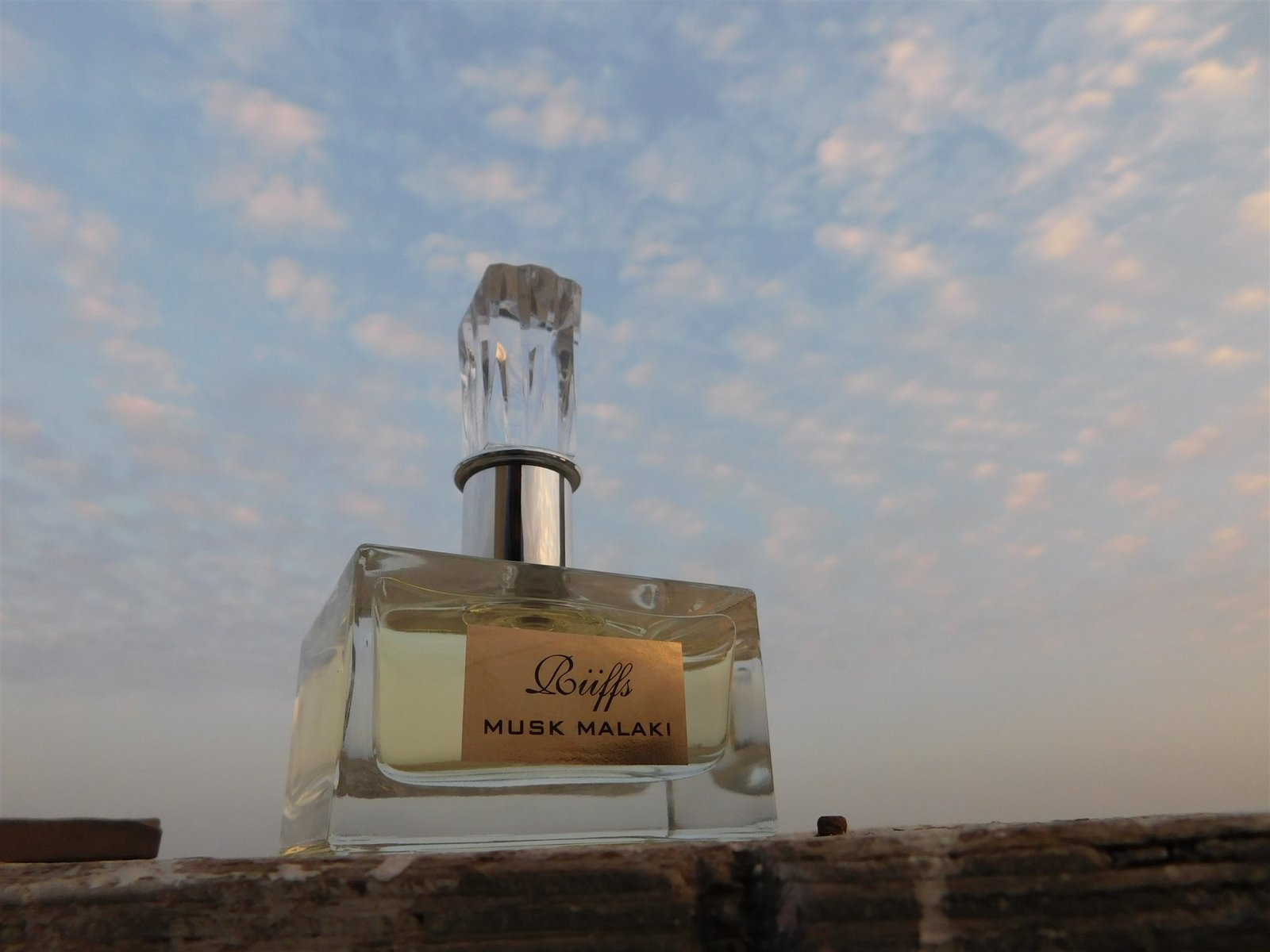 riiffs-musk-malaki-for-men-perfume-100-ml-edp